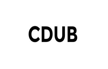 CDUB - CountDown-Up Big Pro